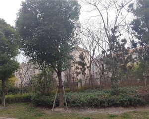 隆兴福里 2室1厅 南