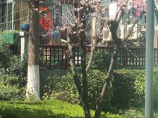 盈浦·金地格林郡二期·3室·2厅