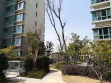 盘古嘉德 精装三房 旁边普小 配套成熟 看房方便