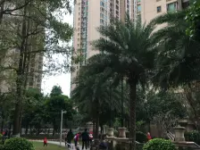 西大商圈 瀚林御景 西大商圈地铁口 交通便利