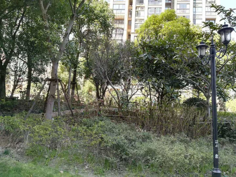 小区相关图
