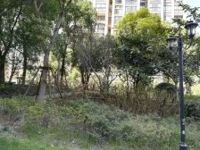 天鹅语大两房,二梯四户,凤凰楼层,房型正气,全南户型