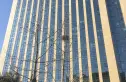海尔绿城玉兰公寓实景图