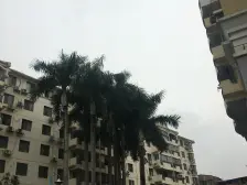 文华园1房1厅中装23万