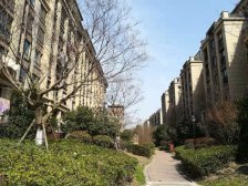 嘉定新城 洋房社区 精装修拎包及住 送产权车位