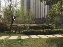 万达旁万达华府,好楼层,诚心出售。