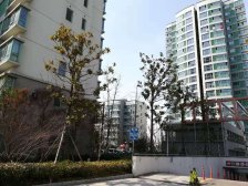 电梯房,环境优美,精装修,诚意出售