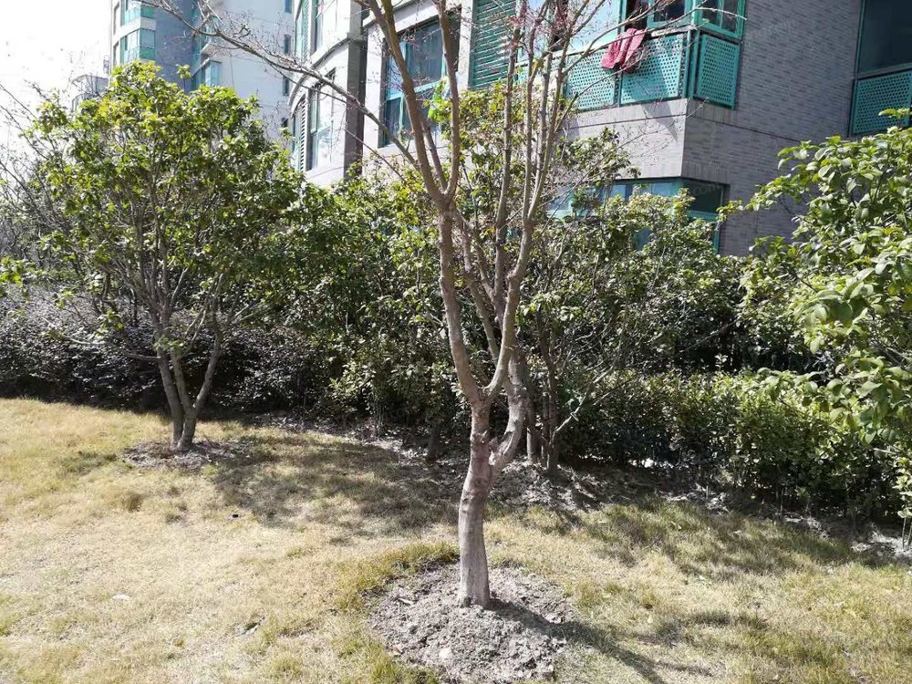 小区相关图