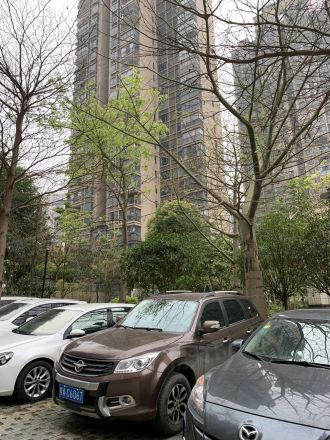 凤岭名筑实景图