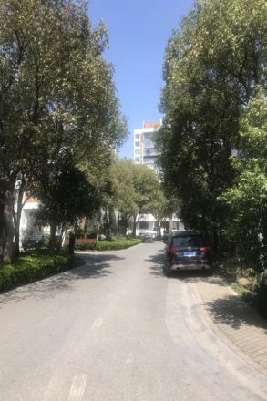 仁恒运杰河滨花园二期实景图