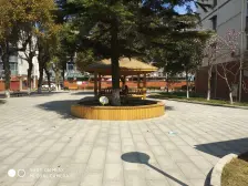 青浦新城打着灯笼都要来看的两房