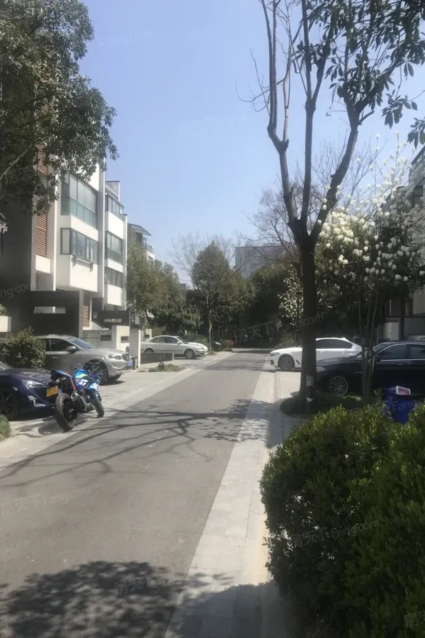 仁恒运杰河滨花园二期别墅
