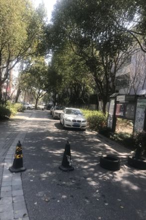 仁恒运杰河滨花园二期实景图