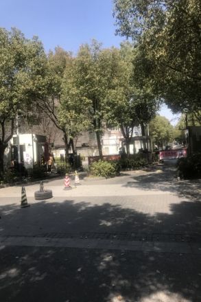 仁恒运杰河滨花园二期实景图