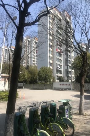 仁恒运杰河滨花园二期实景图