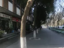 夏阳·仁恒运杰河滨花园(二期)·2室·2厅