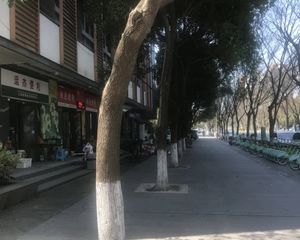 夏阳·仁恒运杰河滨花园(二期)·2室·2厅