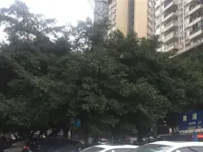 南坪 珊瑚小学综合大楼二房79.9万