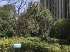 联美品悦2室2厅北南