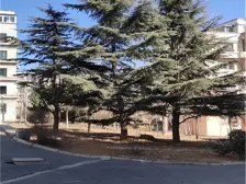 泉水B5区,精装修三室,近地铁。中间楼层