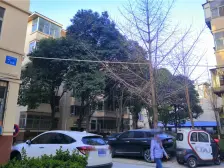 57,绿城广场 单位家属院小区安静 停车方便