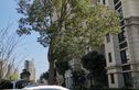 龙湖紫悦湾实景图