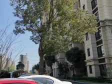 近地铁 无抵押,电梯房,随时看房,新上房源