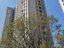 夏阳·御澜山·2室·1厅