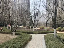 房子四期清水房小区环境好绿化好楼层好