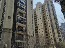 夏阳·龙湖紫悦湾·2室·1厅