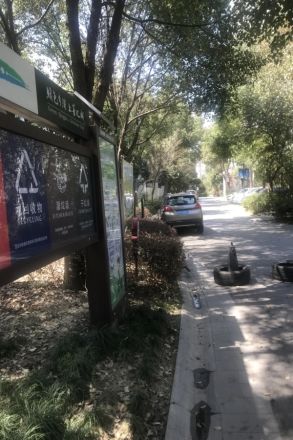 仁恒运杰河滨花园二期实景图