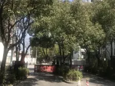 夏阳·仁恒运杰河滨花园(二期)·1室·2厅