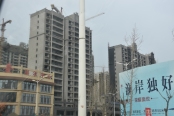 工程进度