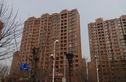 绿地·国际花都实景图
