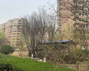 远大园二区高层两居视野好采光佳