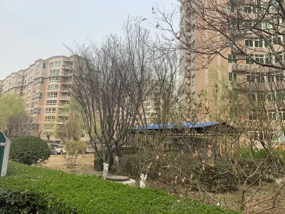 远大园二区实景图