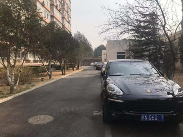 朱各庄10号院实景图