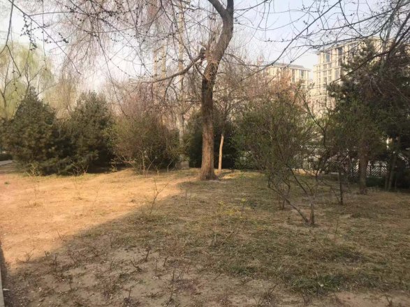 万地名苑实景图