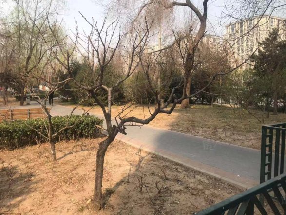 万地名苑实景图