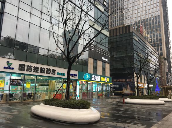 绿地中心公寓实景图