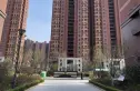 中建新悦城实景图