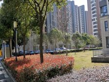 夏阳·崧文轩·3室·2厅