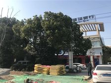 万濠世家 中间楼层 精装80万 诚心出售