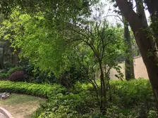 龙光普罗旺斯蓝钻别墅带前后花园车位