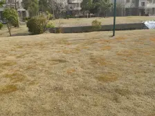 浦东 鑫唐绿波庭 2室1厅