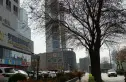 连城国际实景图