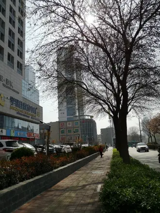 连城国际实景图