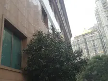 双轨出行方便,视野景观好,采光充足,配套设施齐全