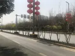 周边道路实拍图