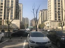 天安花园旁边悦海名邸别墅边户出售